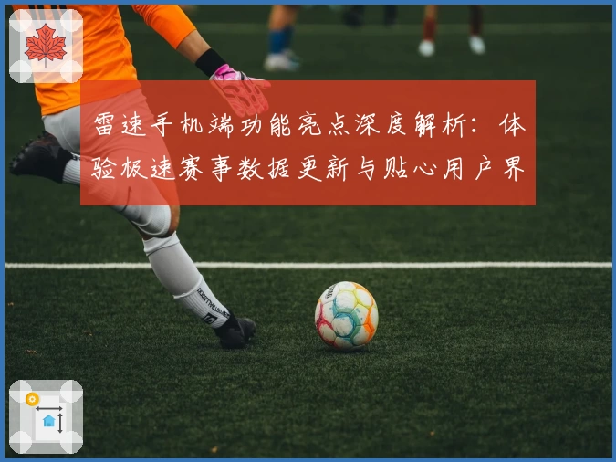 雷速手机端功能亮点深度解析：体验极速赛事数据更新与贴心用户界面设计