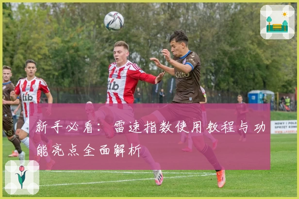 新手必看：雷速指数使用教程与功能亮点全面解析